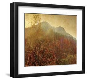 Autumn Colors, no. 2-Carlos Casamayor-Framed Giclee Print