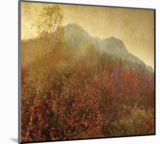 Autumn Colors, no. 2-Carlos Casamayor-Mounted Giclee Print