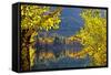 Autumn Colors of the June Lake Loop, California, USA-Joe Restuccia III-Framed Stretched Canvas