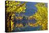Autumn Colors of the June Lake Loop, California, USA-Joe Restuccia III-Stretched Canvas