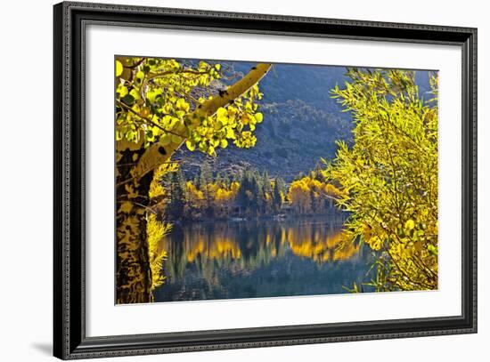 Autumn Colors of the June Lake Loop, California, USA-Joe Restuccia III-Framed Photographic Print