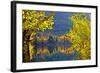 Autumn Colors of the June Lake Loop, California, USA-Joe Restuccia III-Framed Photographic Print