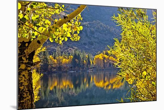 Autumn Colors of the June Lake Loop, California, USA-Joe Restuccia III-Mounted Photographic Print