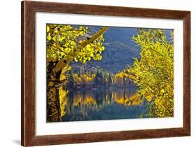 Autumn Colors of the June Lake Loop, California, USA-Joe Restuccia III-Framed Photographic Print