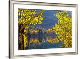 Autumn Colors of the June Lake Loop, California, USA-Joe Restuccia III-Framed Photographic Print