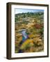 Autumn Colors on Cadillac Mountain-Steve Terrill-Framed Photographic Print