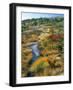 Autumn Colors on Cadillac Mountain-Steve Terrill-Framed Photographic Print