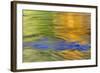 Autumn Colors Reflect in Quinault River,Quinault, Washington, USA-Jaynes Gallery-Framed Photographic Print