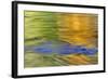 Autumn Colors Reflect in Quinault River,Quinault, Washington, USA-Jaynes Gallery-Framed Photographic Print