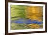 Autumn Colors Reflect in Quinault River,Quinault, Washington, USA-Jaynes Gallery-Framed Photographic Print