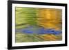 Autumn Colors Reflect in Quinault River,Quinault, Washington, USA-Jaynes Gallery-Framed Photographic Print