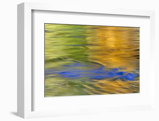 Autumn Colors Reflect in Quinault River,Quinault, Washington, USA-Jaynes Gallery-Framed Photographic Print