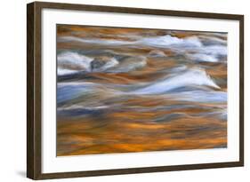 Autumn Colors Reflect in Quinault River, Washington, Quinault, USA-Jaynes Gallery-Framed Photographic Print