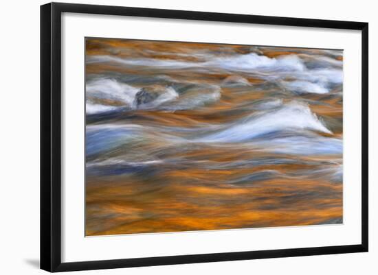 Autumn Colors Reflect in Quinault River, Washington, Quinault, USA-Jaynes Gallery-Framed Photographic Print