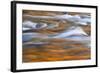 Autumn Colors Reflect in Quinault River, Washington, Quinault, USA-Jaynes Gallery-Framed Photographic Print