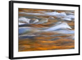 Autumn Colors Reflect in Quinault River, Washington, Quinault, USA-Jaynes Gallery-Framed Photographic Print