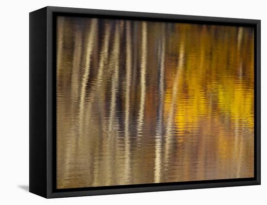 Autumn Colors Reflect in the Calm Water of Price Lake, Blue Ridge Parkway, North Carolina, USA-Chuck Haney-Framed Stretched Canvas