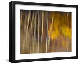 Autumn Colors Reflect in the Calm Water of Price Lake, Blue Ridge Parkway, North Carolina, USA-Chuck Haney-Framed Photographic Print