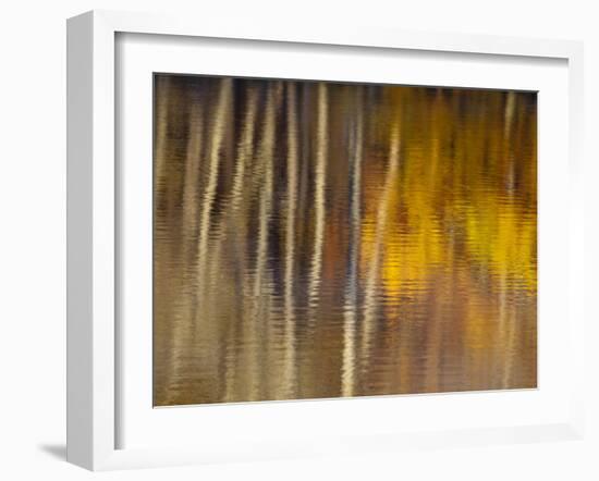 Autumn Colors Reflect in the Calm Water of Price Lake, Blue Ridge Parkway, North Carolina, USA-Chuck Haney-Framed Photographic Print