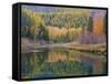 Autumn Colors reflect into McDonald Creek, Glacier National Park, Montana, USA-Chuck Haney-Framed Stretched Canvas