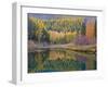 Autumn Colors reflect into McDonald Creek, Glacier National Park, Montana, USA-Chuck Haney-Framed Photographic Print