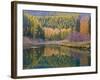 Autumn Colors reflect into McDonald Creek, Glacier National Park, Montana, USA-Chuck Haney-Framed Photographic Print