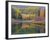 Autumn Colors reflect into McDonald Creek, Glacier National Park, Montana, USA-Chuck Haney-Framed Photographic Print