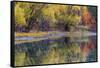 Autumn Colors Reflect into the Whitefish River in Whitefish, Montana, Usa-Chuck Haney-Framed Stretched Canvas