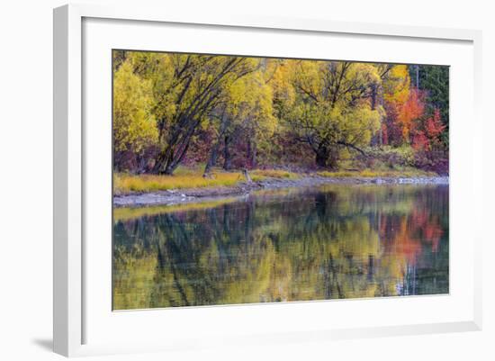 Autumn Colors Reflect into the Whitefish River in Whitefish, Montana, Usa-Chuck Haney-Framed Photographic Print