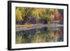 Autumn Colors Reflect into the Whitefish River in Whitefish, Montana, Usa-Chuck Haney-Framed Photographic Print