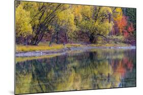 Autumn Colors Reflect into the Whitefish River in Whitefish, Montana, Usa-Chuck Haney-Mounted Photographic Print