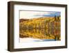 Autumn Colors Reflected in Lake, Minnesota, USA-PhotoImages-Framed Photographic Print