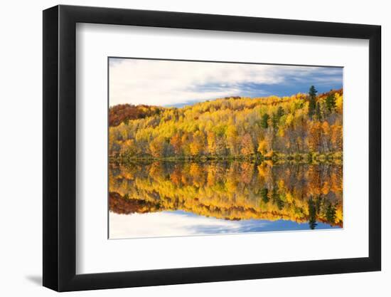 Autumn Colors Reflected in Lake, Minnesota, USA-PhotoImages-Framed Photographic Print