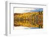 Autumn Colors Reflected in Lake, Minnesota, USA-PhotoImages-Framed Photographic Print