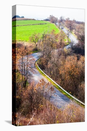 Autumn Colors Rural Landscape near Ogrodzieniec, Poland-Curioso Travel Photography-Stretched Canvas