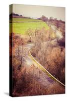 Autumn Colors Rural Landscape near Ogrodzieniec, Poland-Curioso Travel Photography-Stretched Canvas