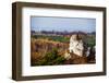 Autumn Colors Rural Landscape near Ogrodzieniec, Poland-Curioso Travel Photography-Framed Photographic Print