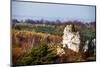 Autumn Colors Rural Landscape near Ogrodzieniec, Poland-Curioso Travel Photography-Mounted Photographic Print