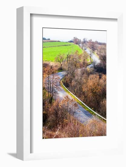 Autumn Colors Rural Landscape near Ogrodzieniec, Poland-Curioso Travel Photography-Framed Photographic Print