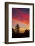 Autumn Colors - Sunset Sky and Tree Over Berkeley-Vincent James-Framed Photographic Print