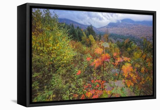 Autumn Colors Viewpoint, White Mountain New Hampshire-Vincent James-Framed Stretched Canvas