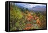 Autumn Colors Viewpoint, White Mountain New Hampshire-Vincent James-Framed Stretched Canvas