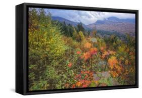 Autumn Colors Viewpoint, White Mountain New Hampshire-Vincent James-Framed Stretched Canvas