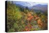 Autumn Colors Viewpoint, White Mountain New Hampshire-Vincent James-Stretched Canvas