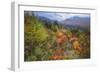 Autumn Colors Viewpoint, White Mountain New Hampshire-Vincent James-Framed Photographic Print