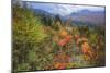 Autumn Colors Viewpoint, White Mountain New Hampshire-Vincent James-Mounted Photographic Print