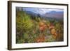 Autumn Colors Viewpoint, White Mountain New Hampshire-Vincent James-Framed Photographic Print