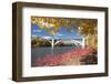 Autumn Colors with Bridge over the Mississippi River, Minnesota-PhotoImages-Framed Photographic Print