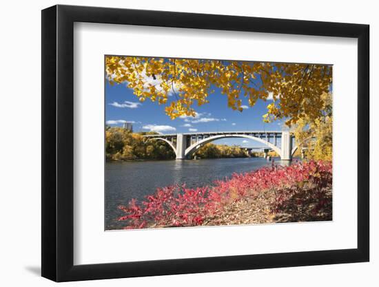 Autumn Colors with Bridge over the Mississippi River, Minnesota-PhotoImages-Framed Photographic Print