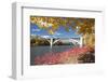 Autumn Colors with Bridge over the Mississippi River, Minnesota-PhotoImages-Framed Photographic Print